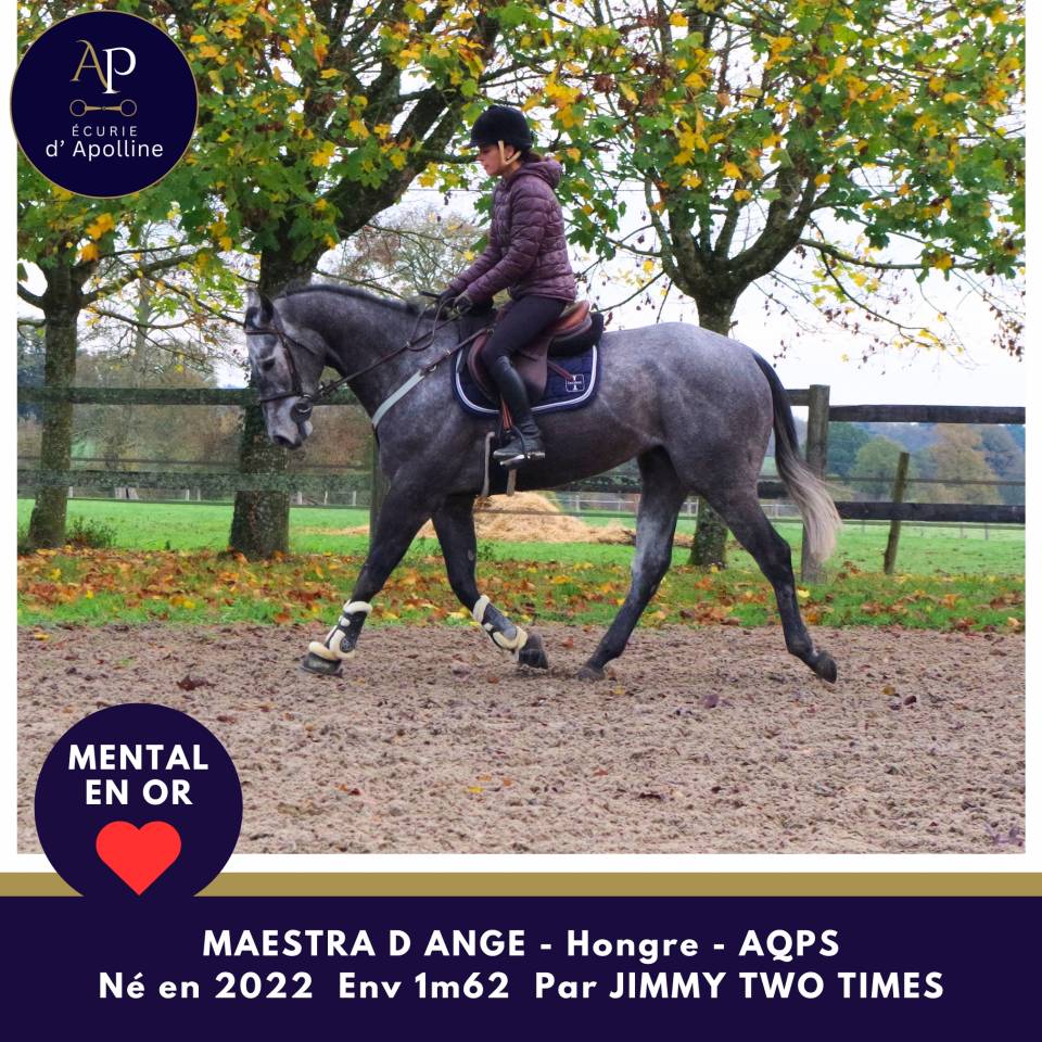 jeune AQPS 4 ans en 2026 mental en or