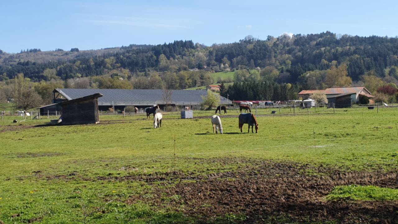 Pension pr&eacute; ou paddock/box