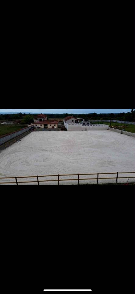 Pension chevaux dans la Loire