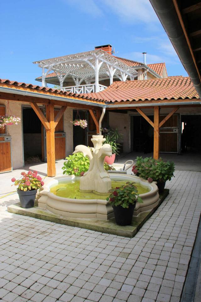 Pension chevaux dans la Loire