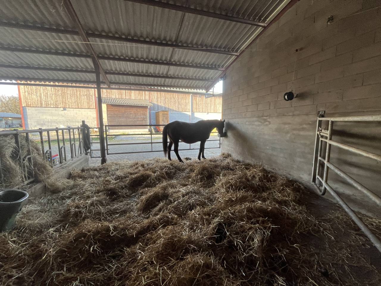 Pension Chevaux – Élevage du Tavernier (Cressensac, Lot