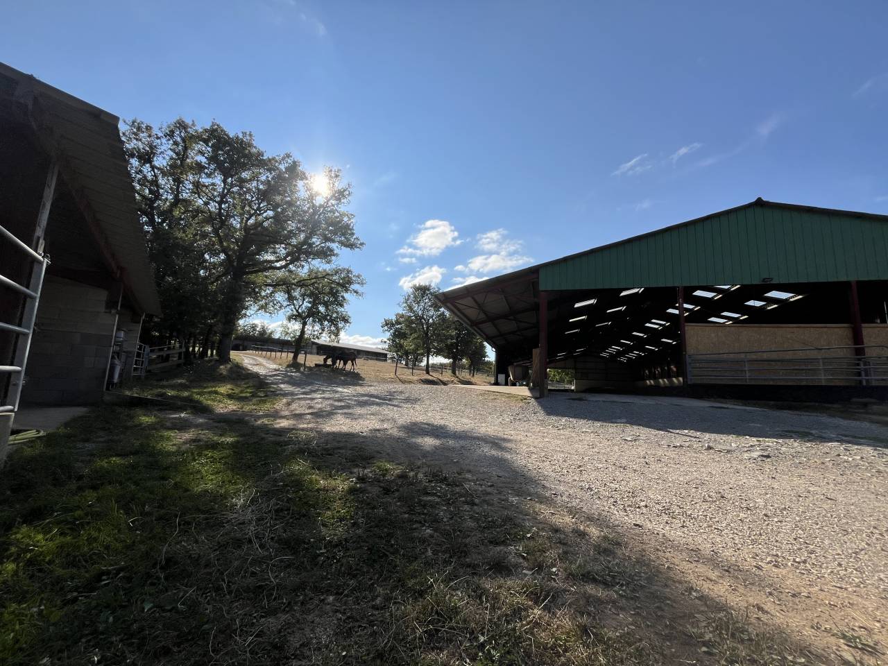 Pension Chevaux – Élevage du Tavernier (Cressensac, Lot