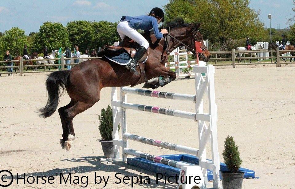 Super ponette de Grand Prix à louer