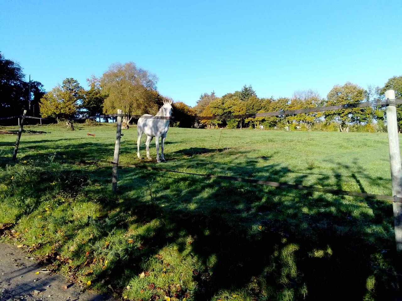 Pension chevaux - Ferme équestre de coat maudez (Guingamp)