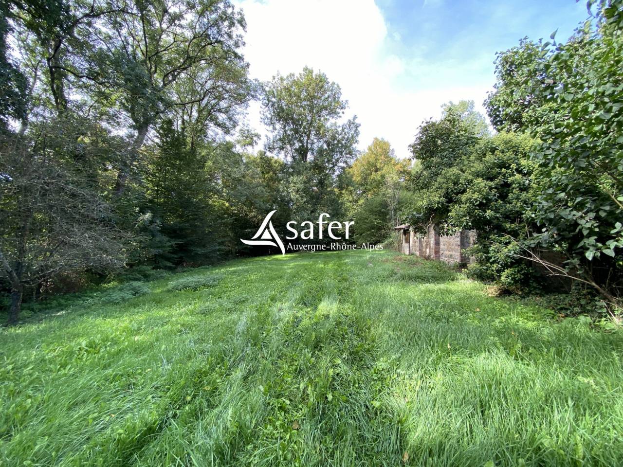 ANCIEN MOULIN AVEC HABITATION - MESSIMY