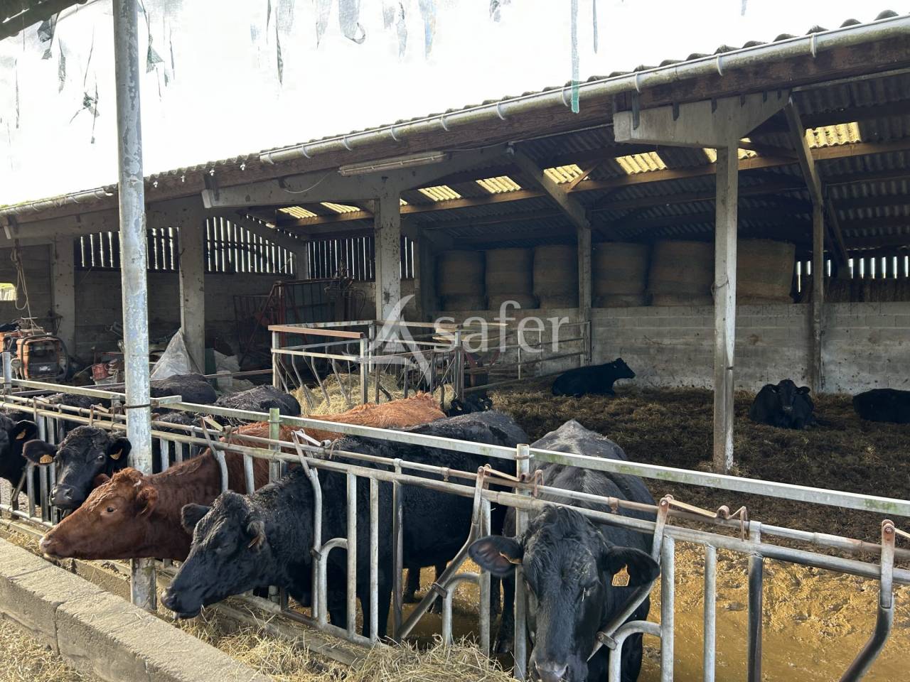 Propriété agricole sur 23ha