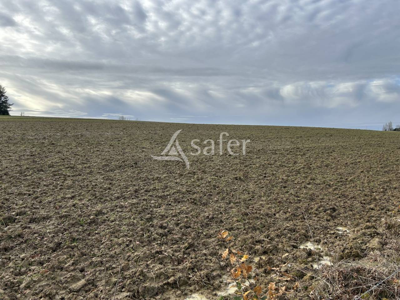 Propriété agricole sur 23ha