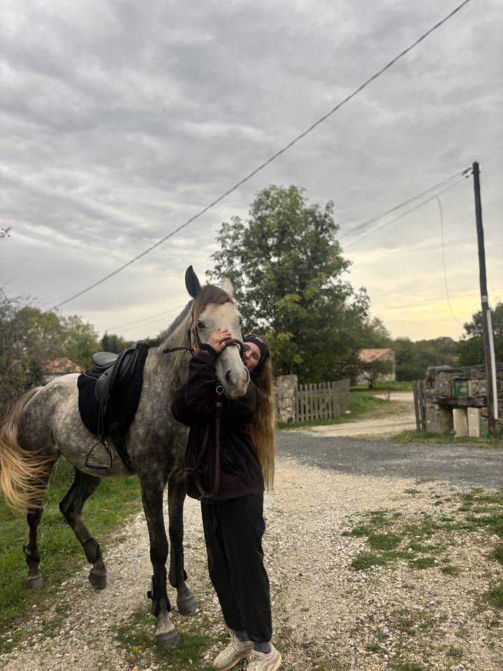 Pur sang arabe 5 ans  