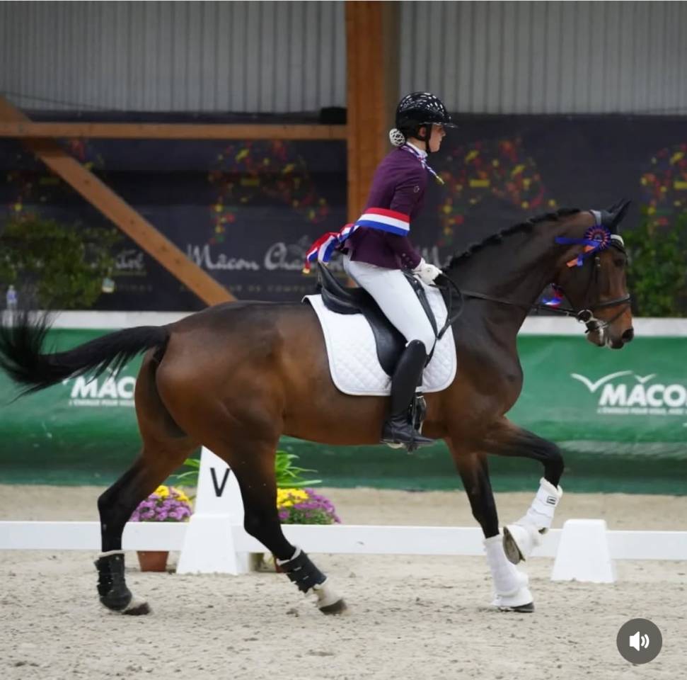 Jument dressage par Secret 