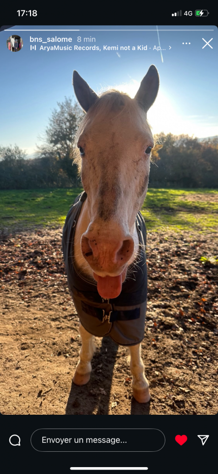 Poney pour loisir balade 