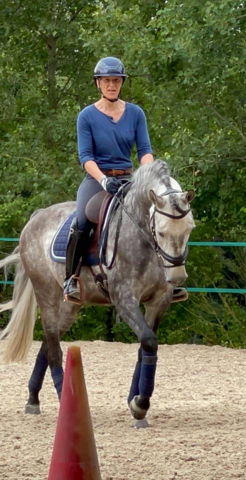 Lusitano , 9 ans 