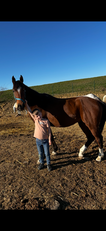 cheval de compagnie âgé de 14ans
