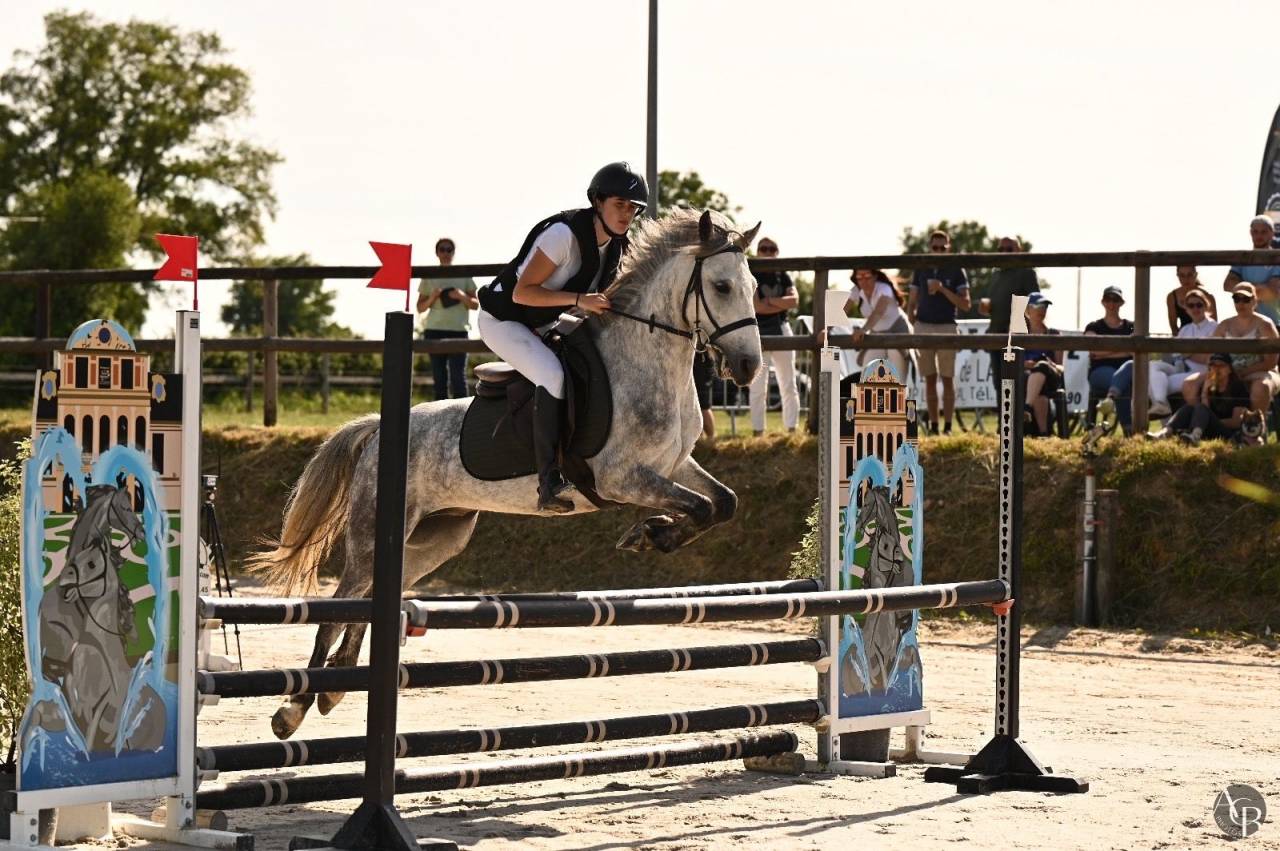 Top poney de concours 