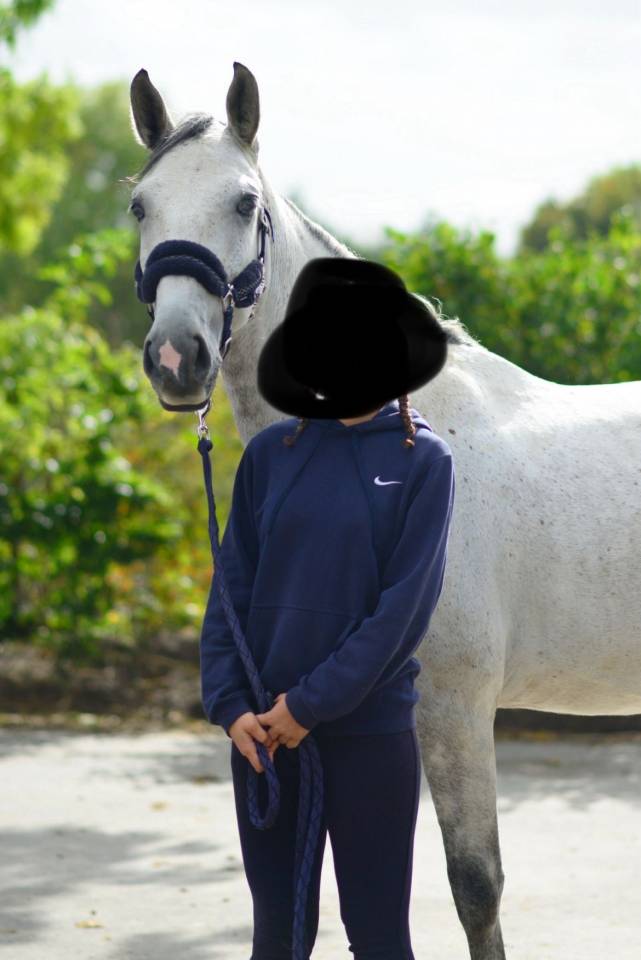 Lazarro - cheval onc espagnol de 4ans