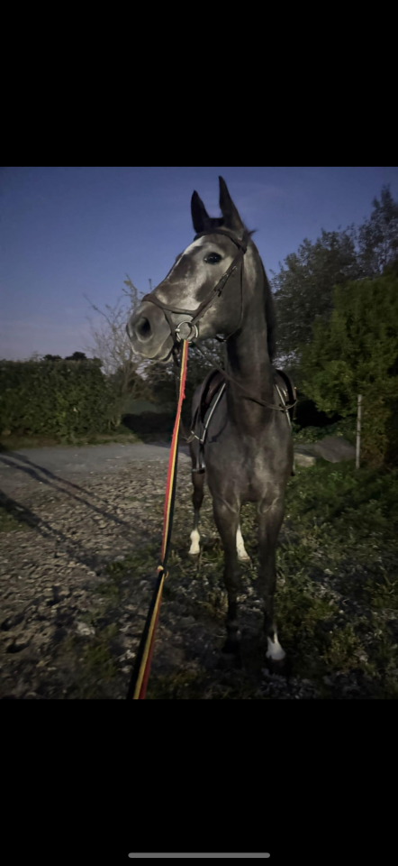 Winston van de piettaker 