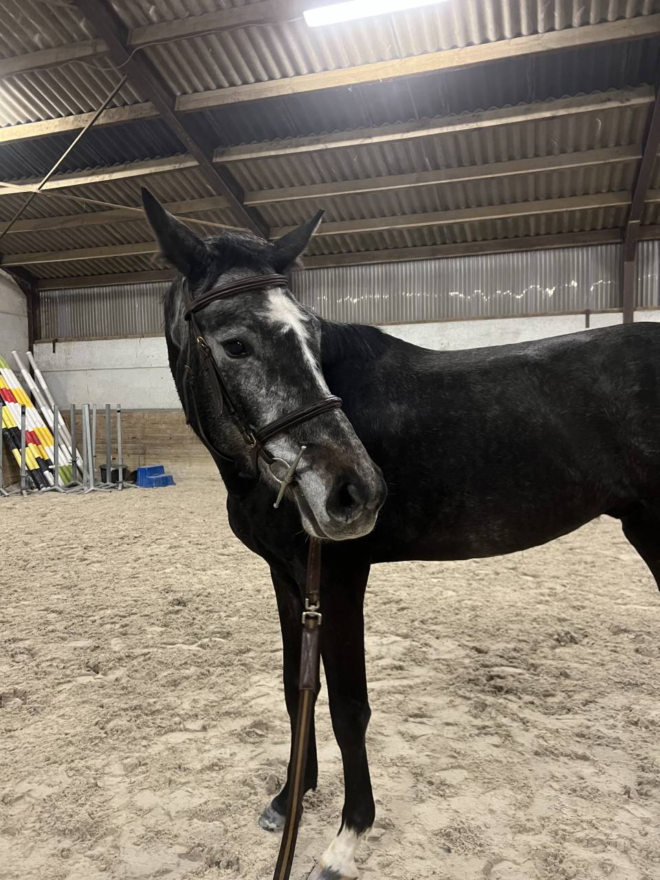 Winston van de piettaker 