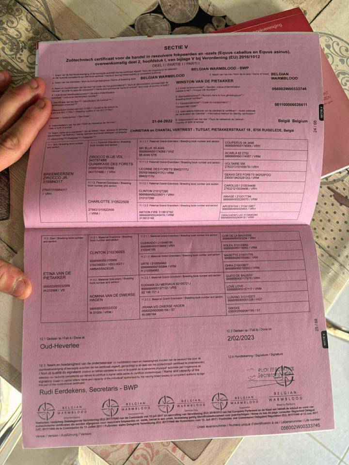 Winston van de piettaker 