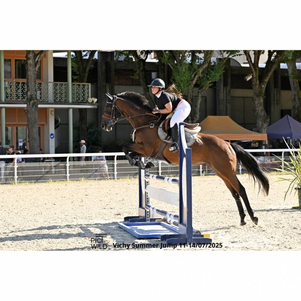 Demi pension cheval 9 ans