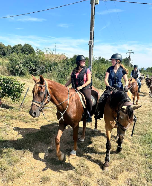 APPRENTI AE OU BPJEPS