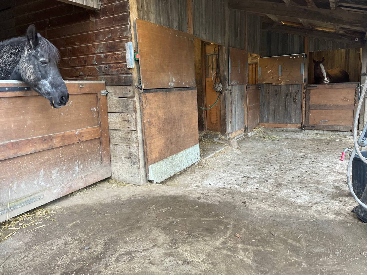 Proprièté équestre  sur 2,5 hectares