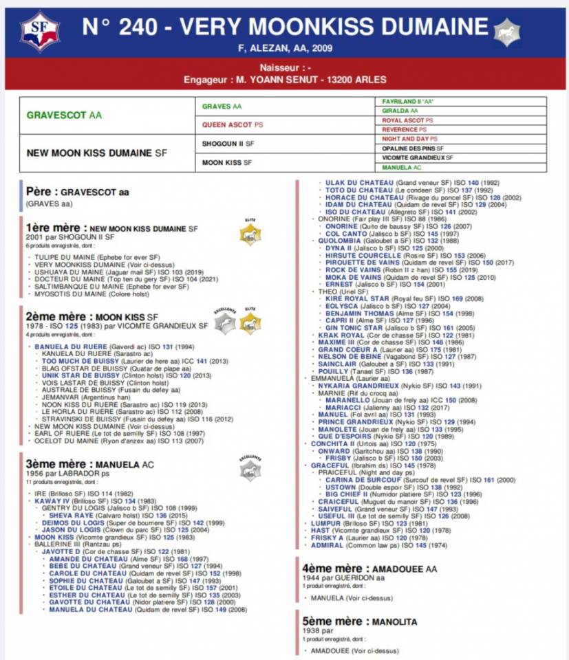 Poulinière Souche Manuela "du château"