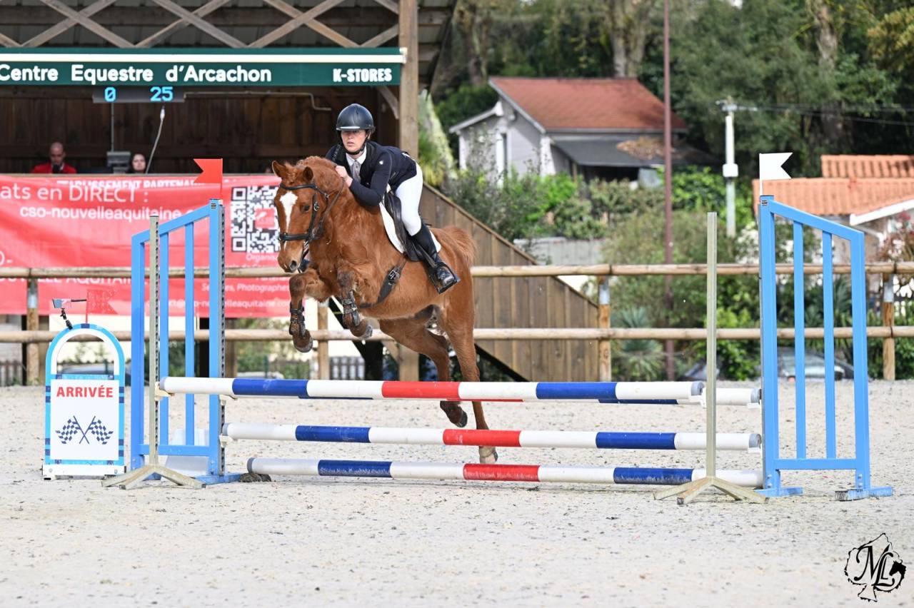 ILEHOU DES AGUES Poney D