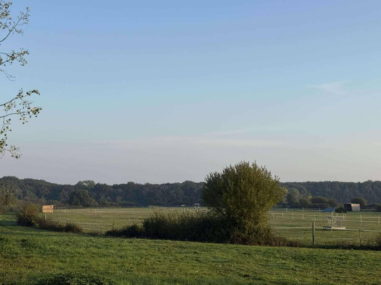 Pension chevaux Vendôme box pré