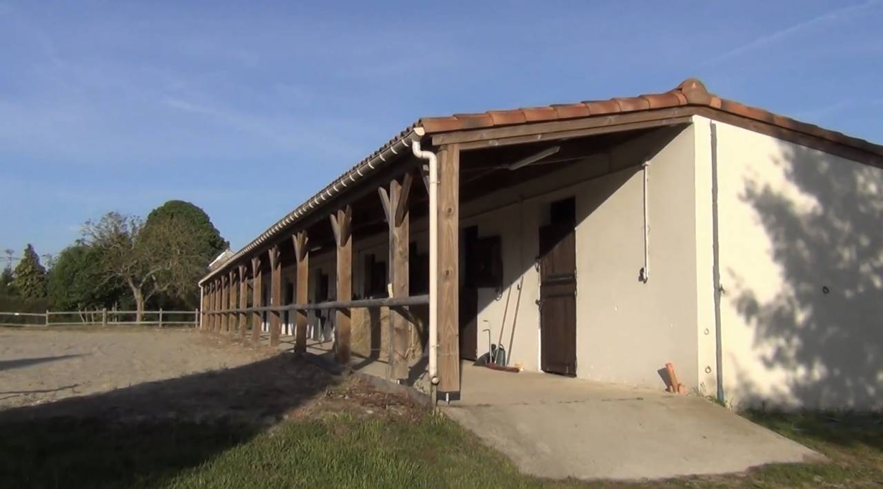 Pension chevaux Vendôme box pré