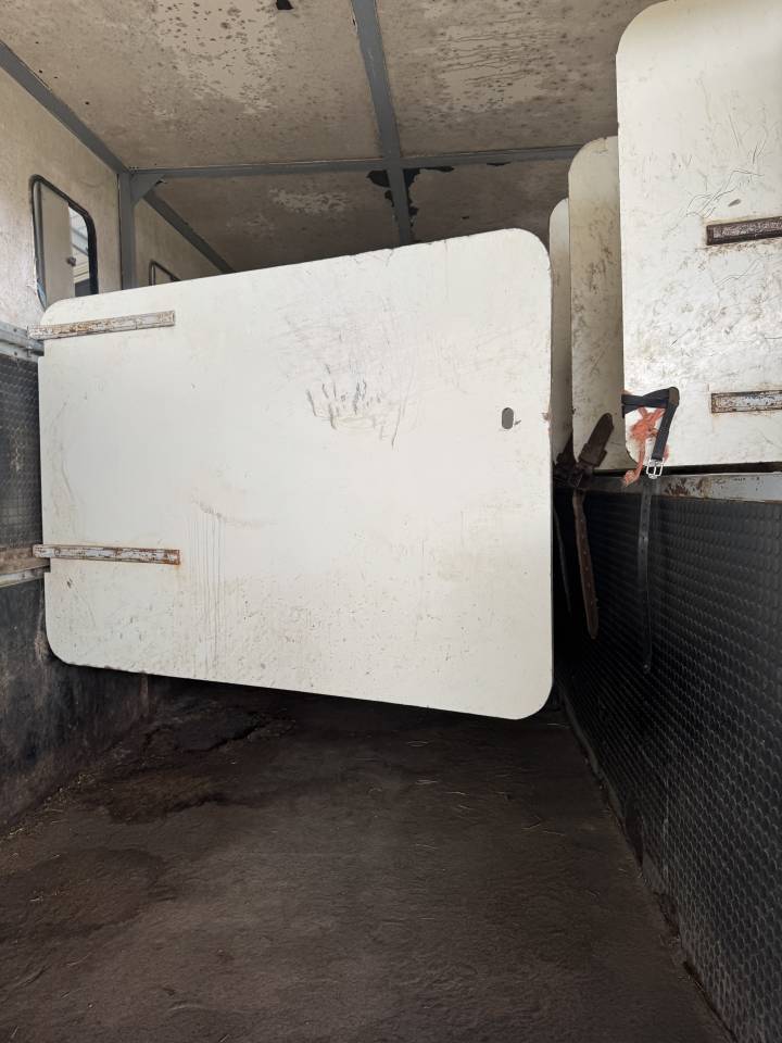 Camion chevaux 19 tonnes