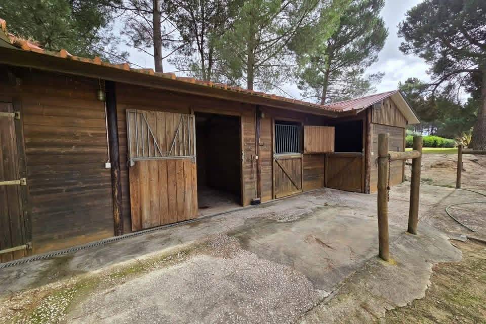 Quinta Équestre de 6,3ha - Portugal 