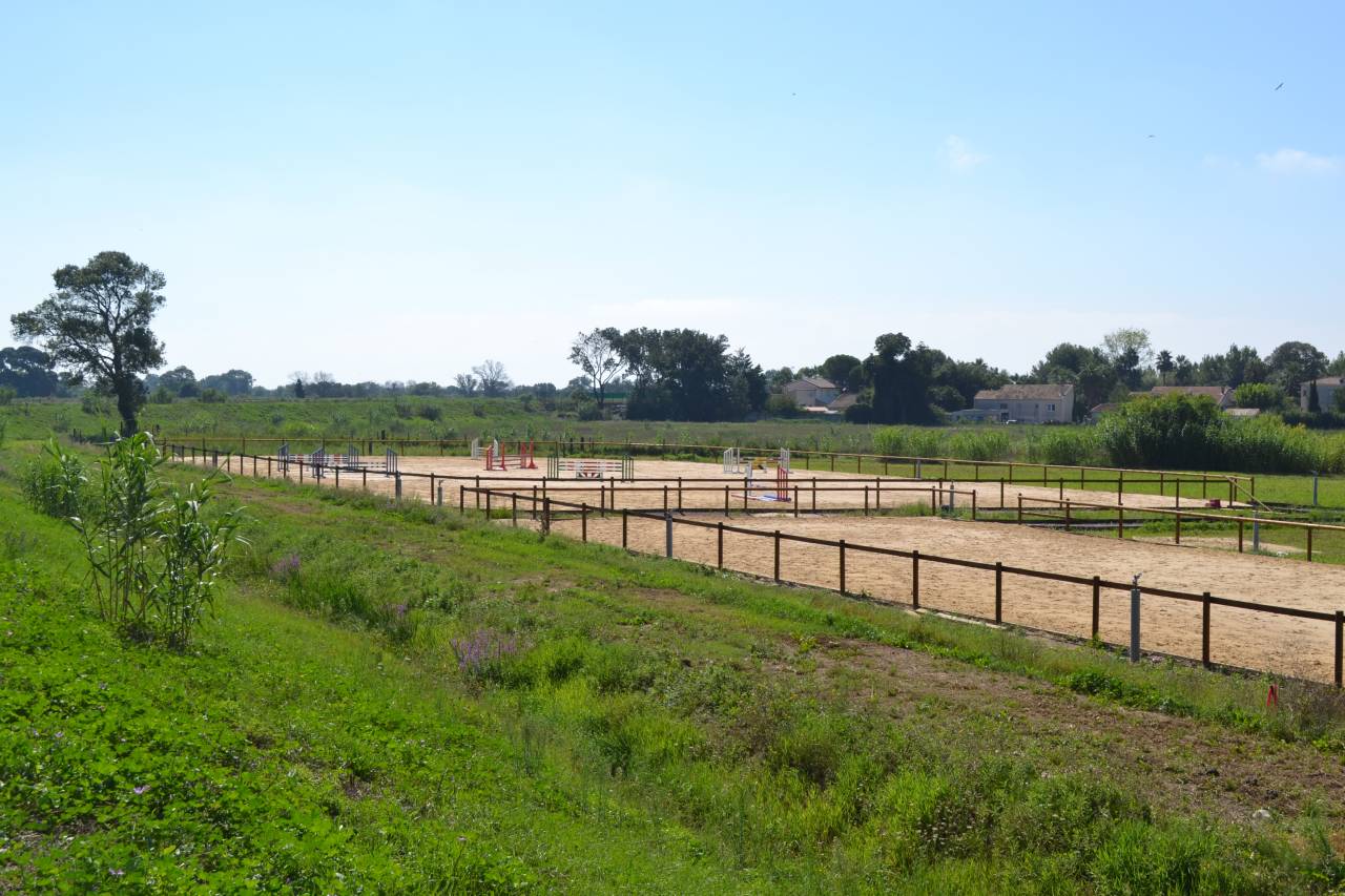 pension chevaux - Haras de Tournefort