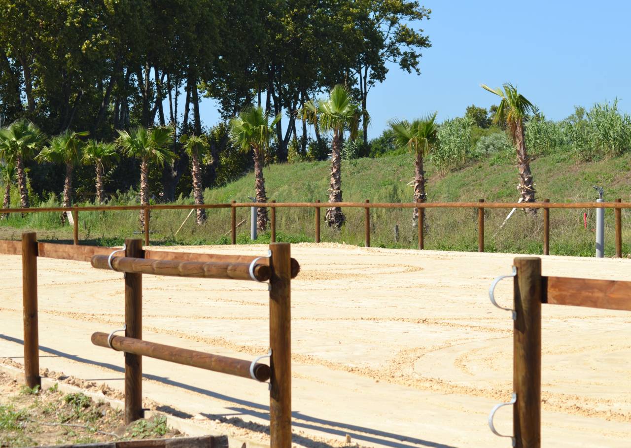 pension chevaux - Haras de Tournefort