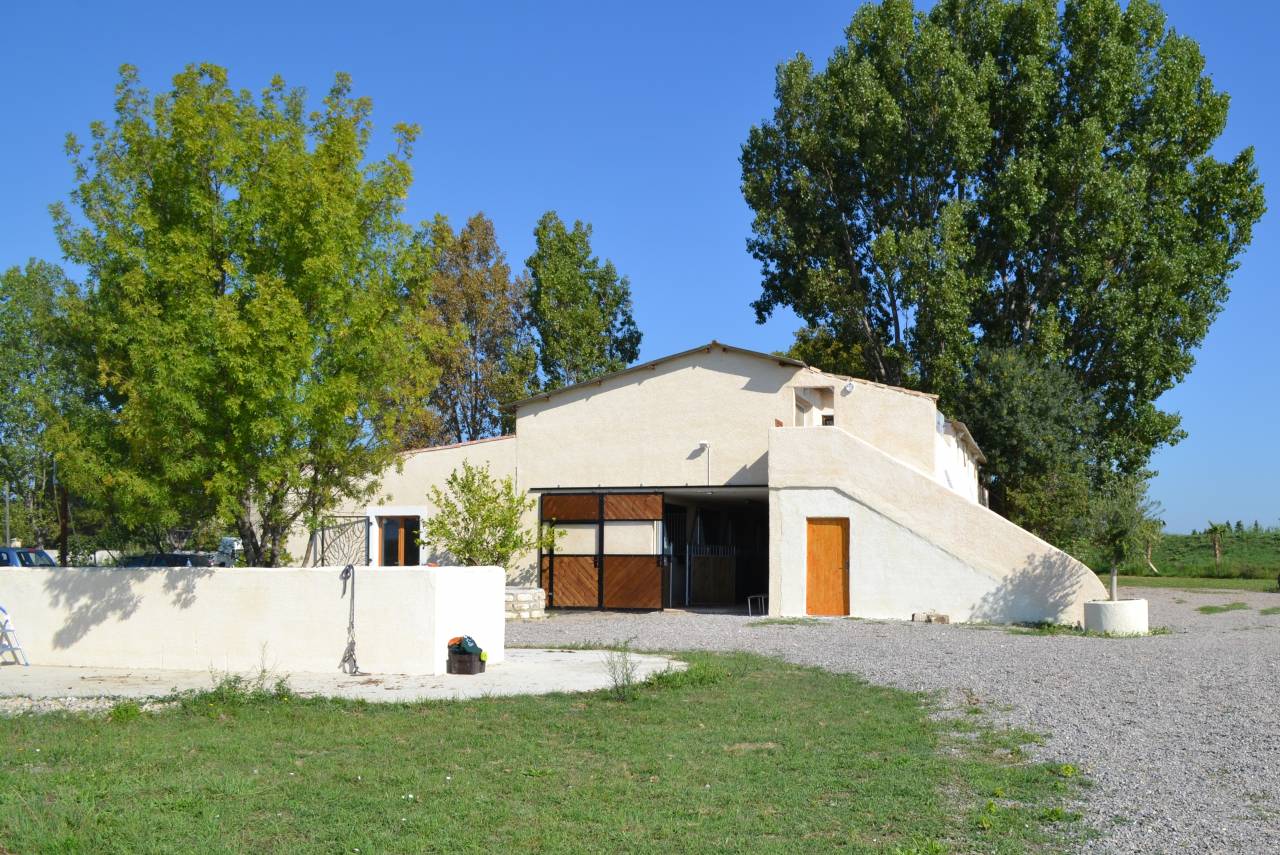 pension chevaux - Haras de Tournefort