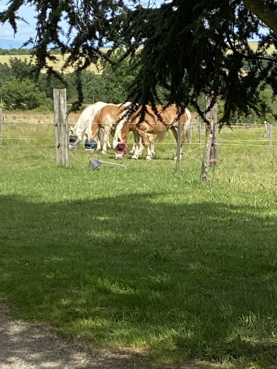 Pension Retraite & Convalescence