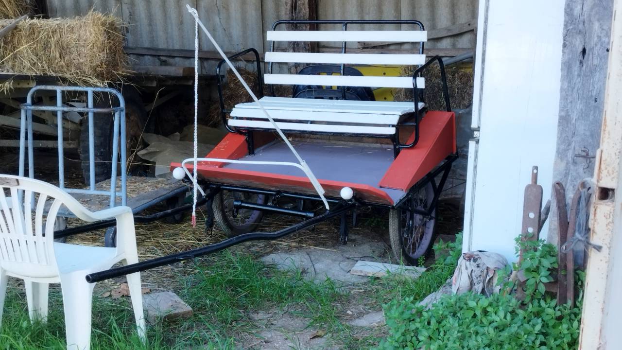 Carriole pour poneys ou chevaux 