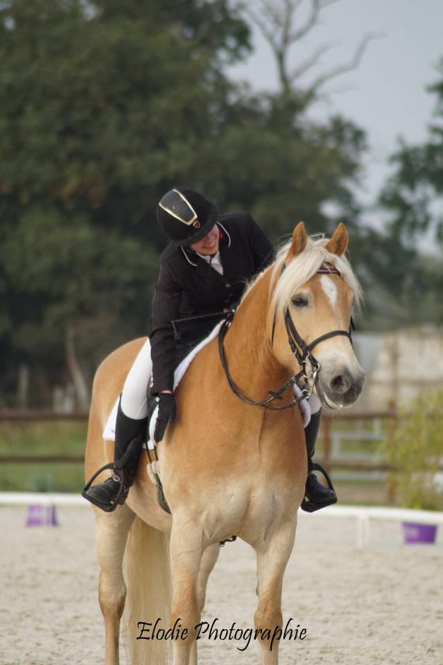 Demi pension Halfinger 