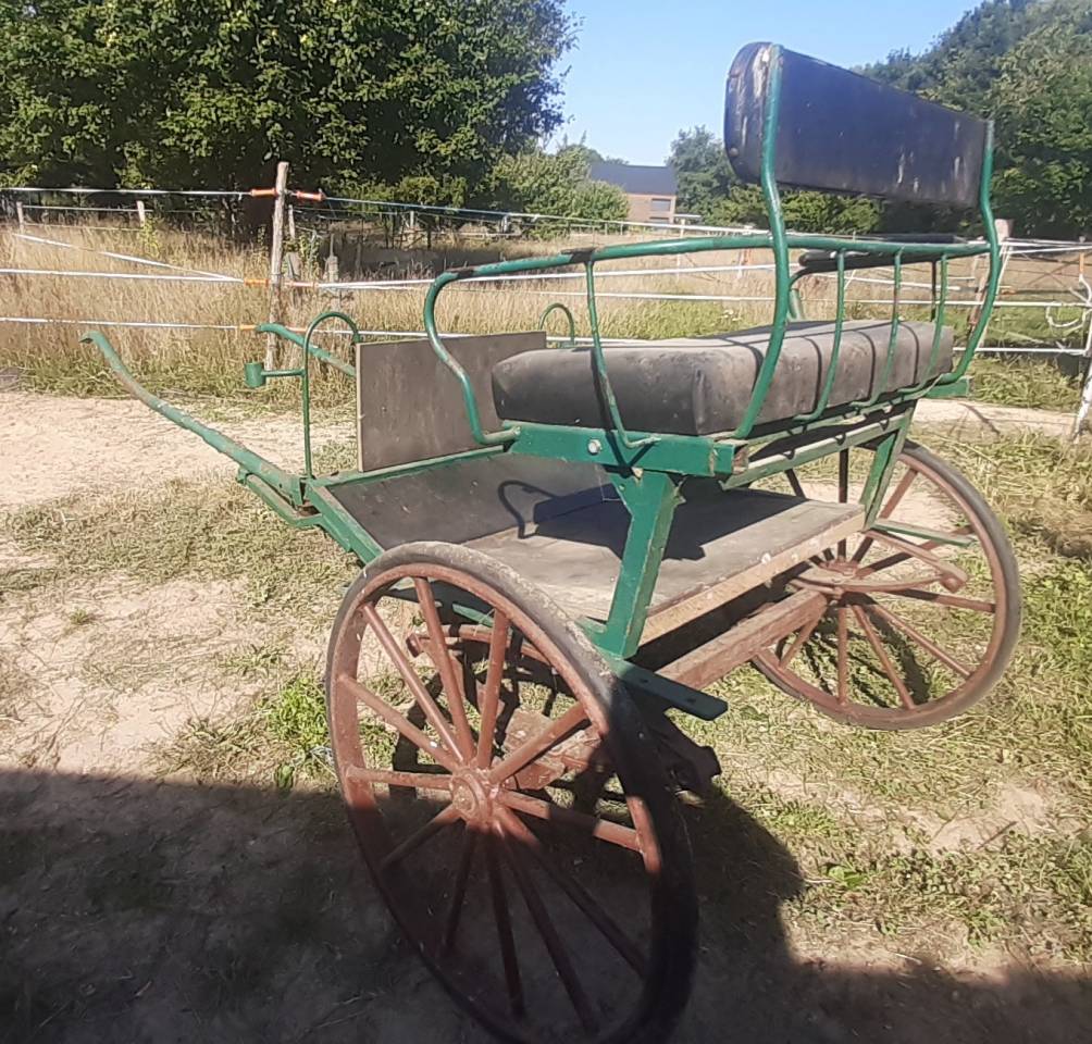 Donne Charrette Attelage 2 roues