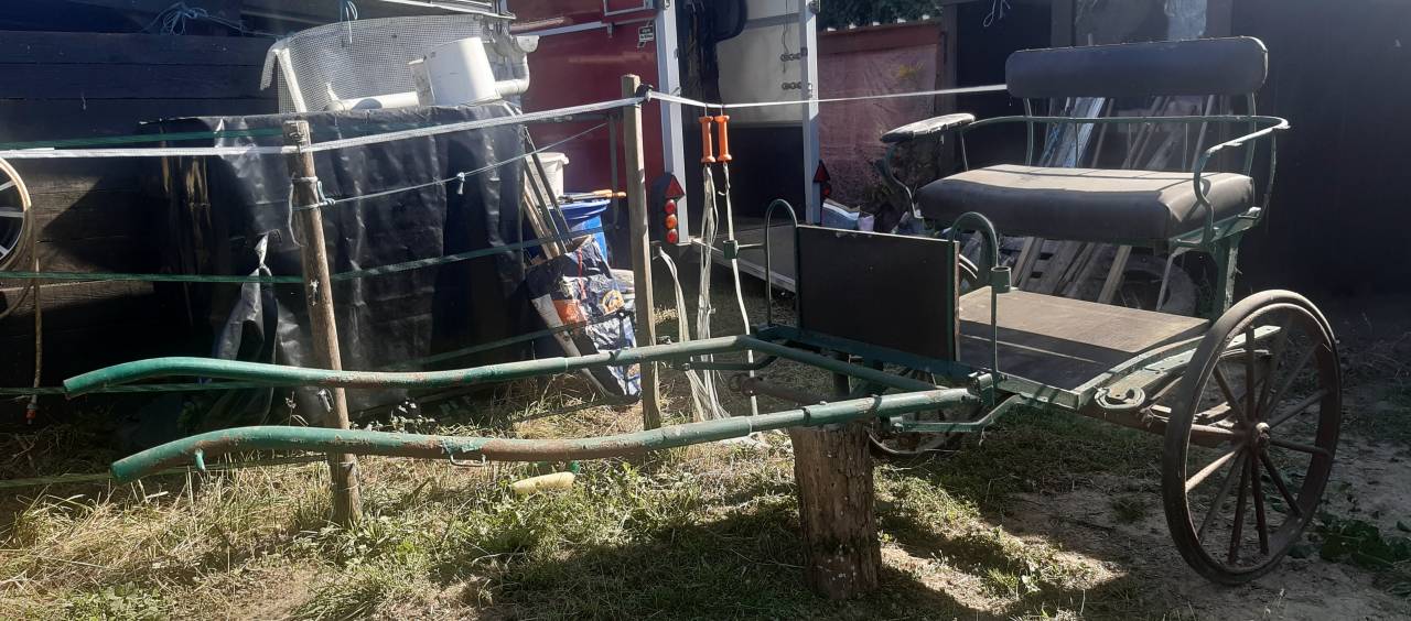 Donne Charrette Attelage 2 roues