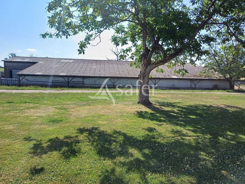 Propriété d'élevage très bien groupée sur 127,5 ha