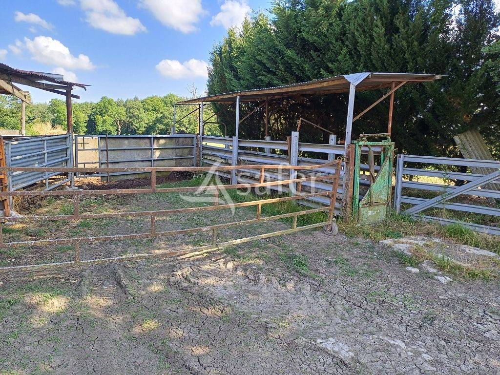 Propriété d'élevage très bien groupée sur 127,5 ha