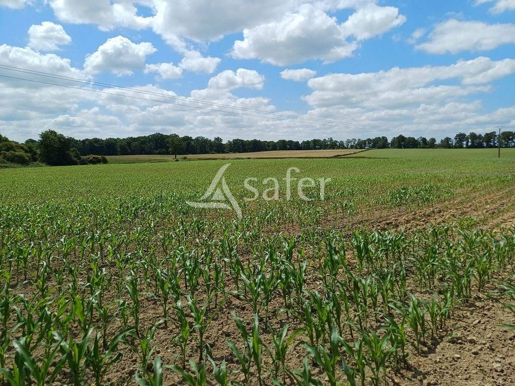 Propriété d'élevage très bien groupée sur 127,5 ha