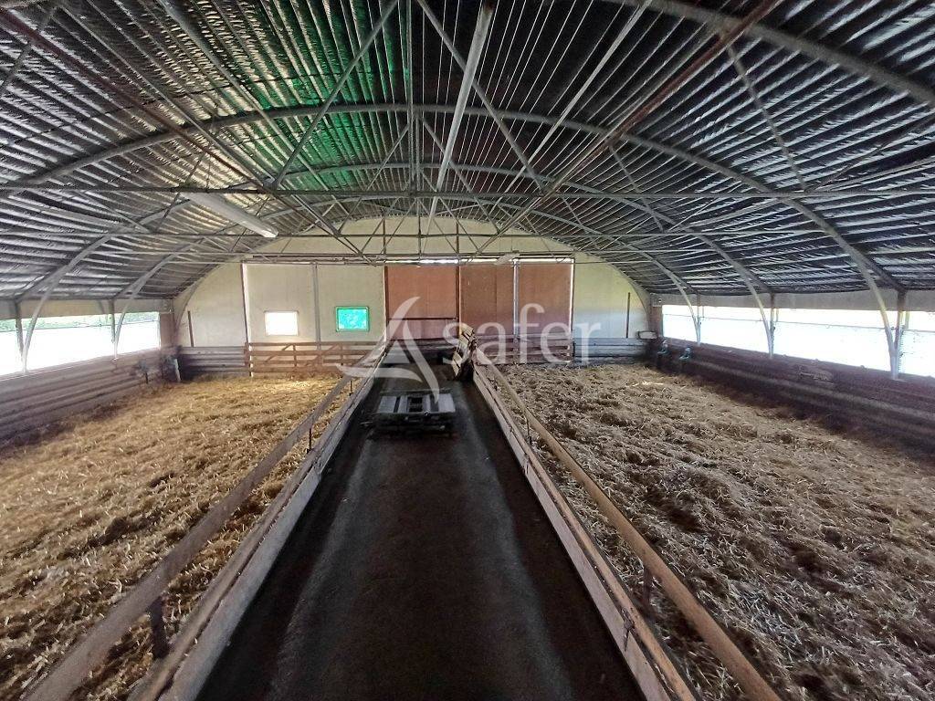 Propriété d'élevage d'environ 94 ha 50 bien groupés