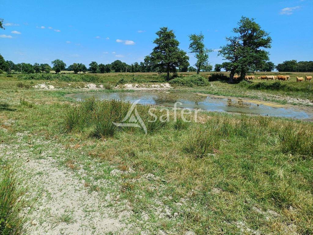 Propriété d'élevage d'environ 94 ha 50 bien groupés