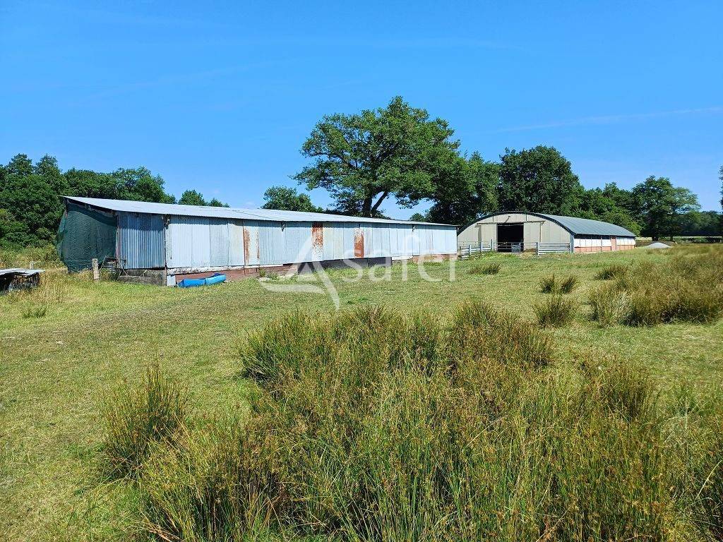 Propriété d'élevage d'environ 94 ha 50 bien groupés