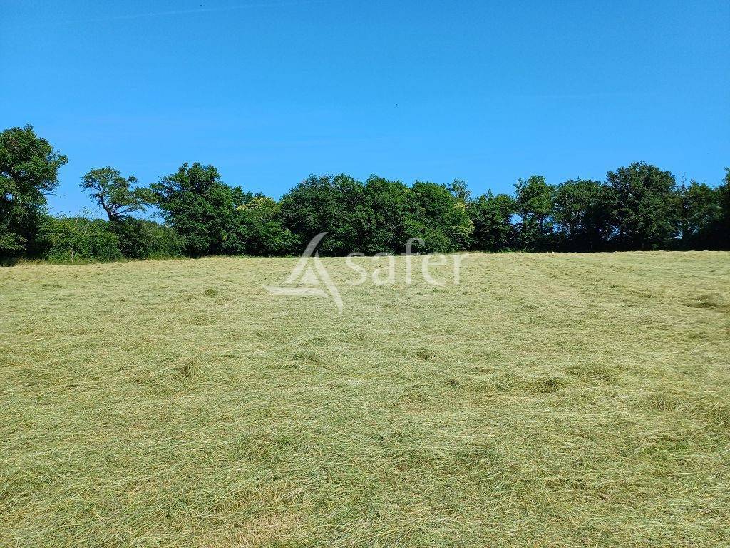 Propriété d'élevage d'environ 94 ha 50 bien groupés