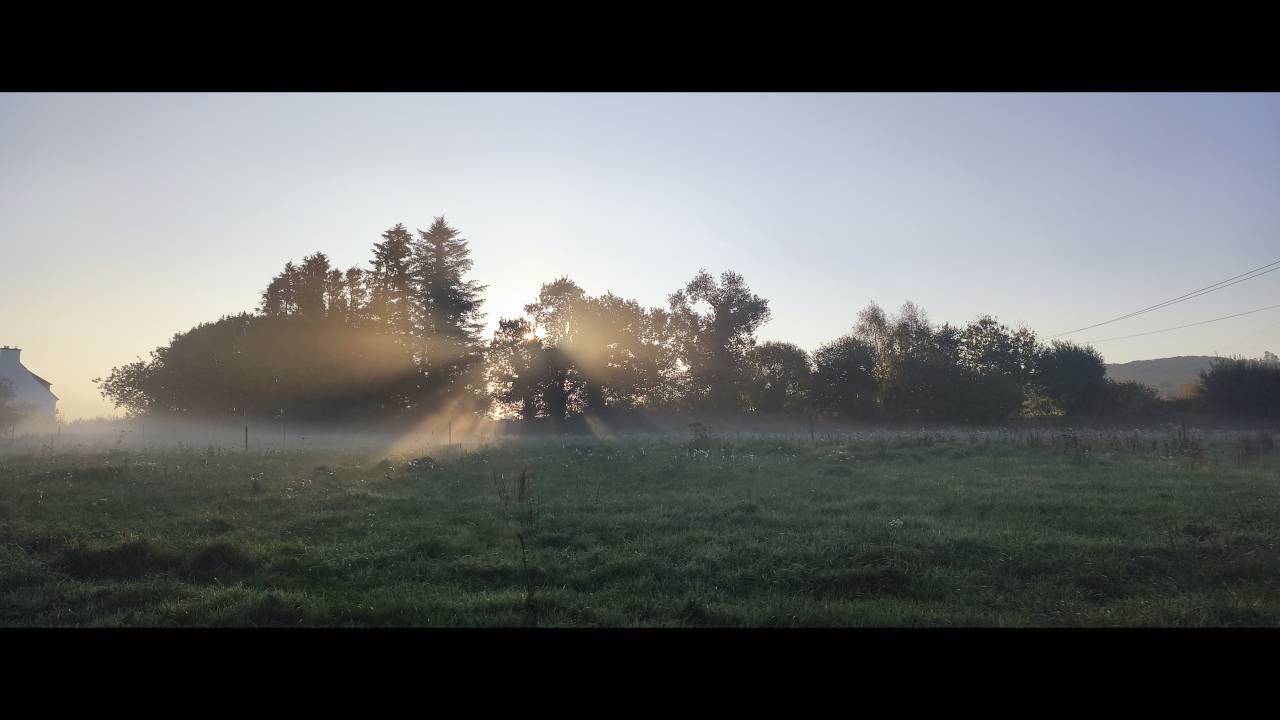 Pension familiale Pour chevaux et poneys