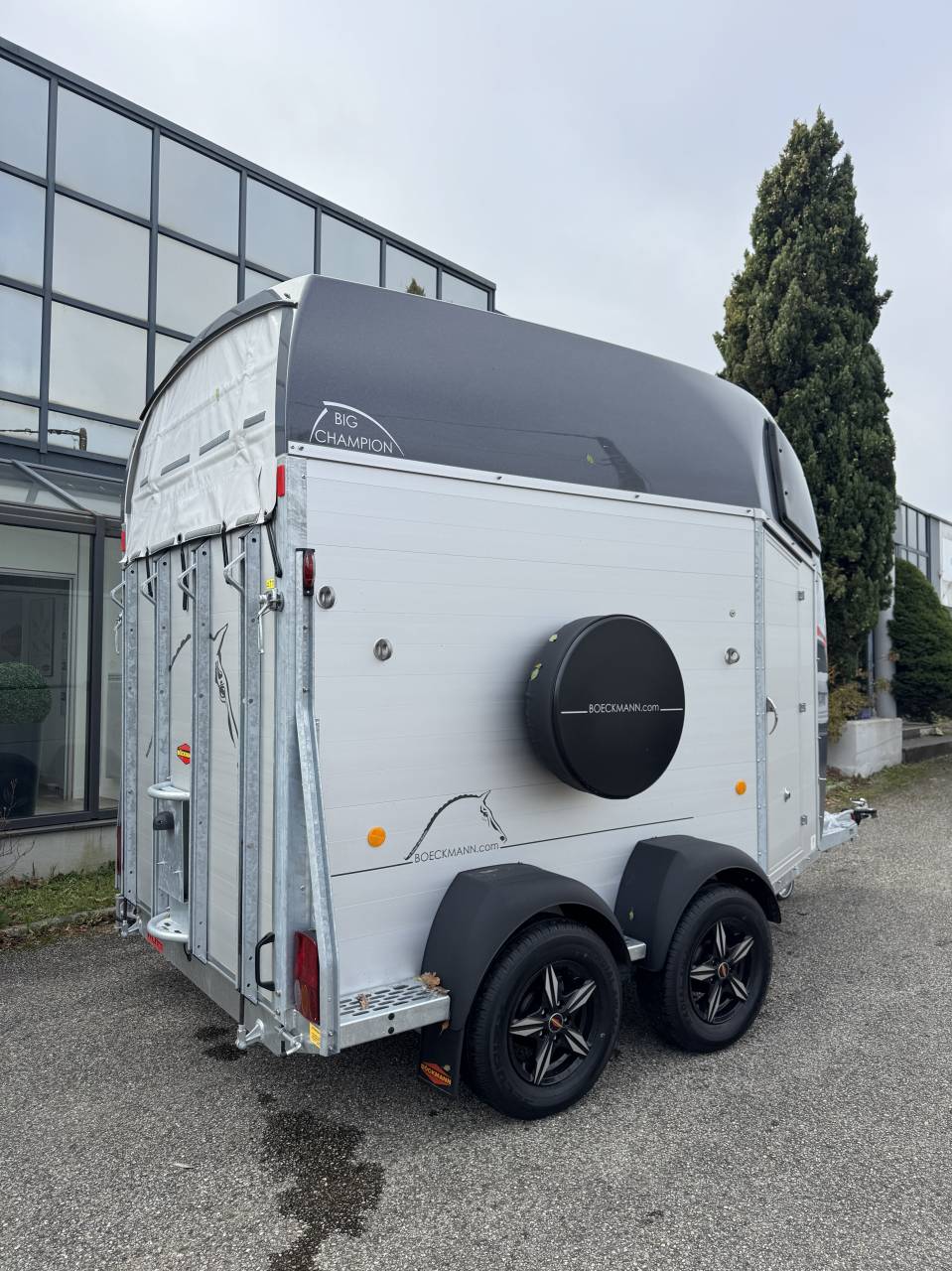 Van Bockmann Big Champion E