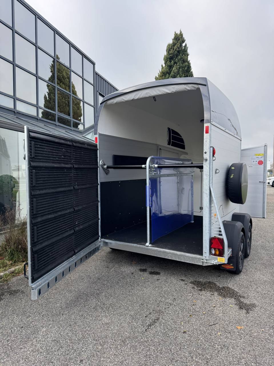 Van Bockmann Big Champion E