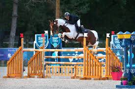 Opportunité : grande pouliche de sport