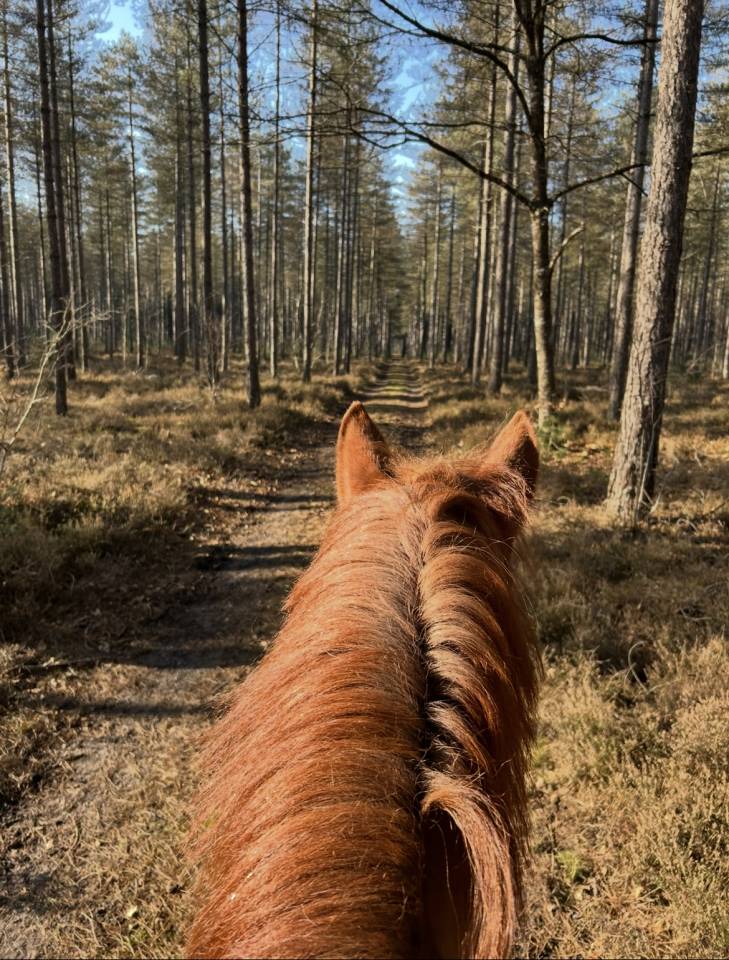 Pension Travail dans un magnifique cadre
